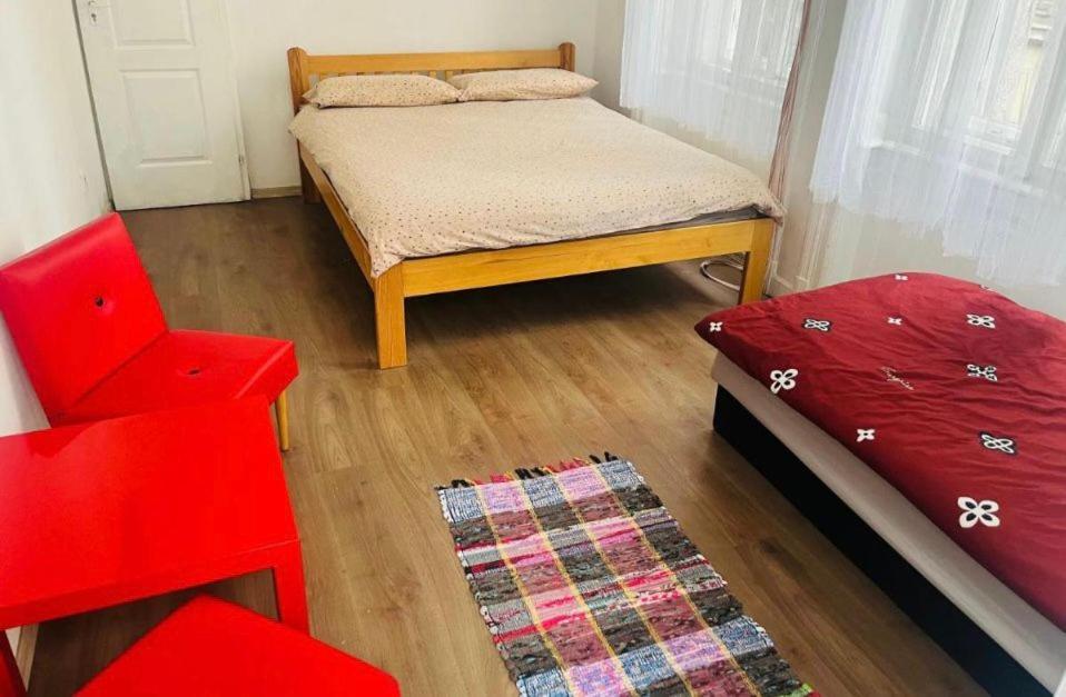Doxie And Beds * Budapesta